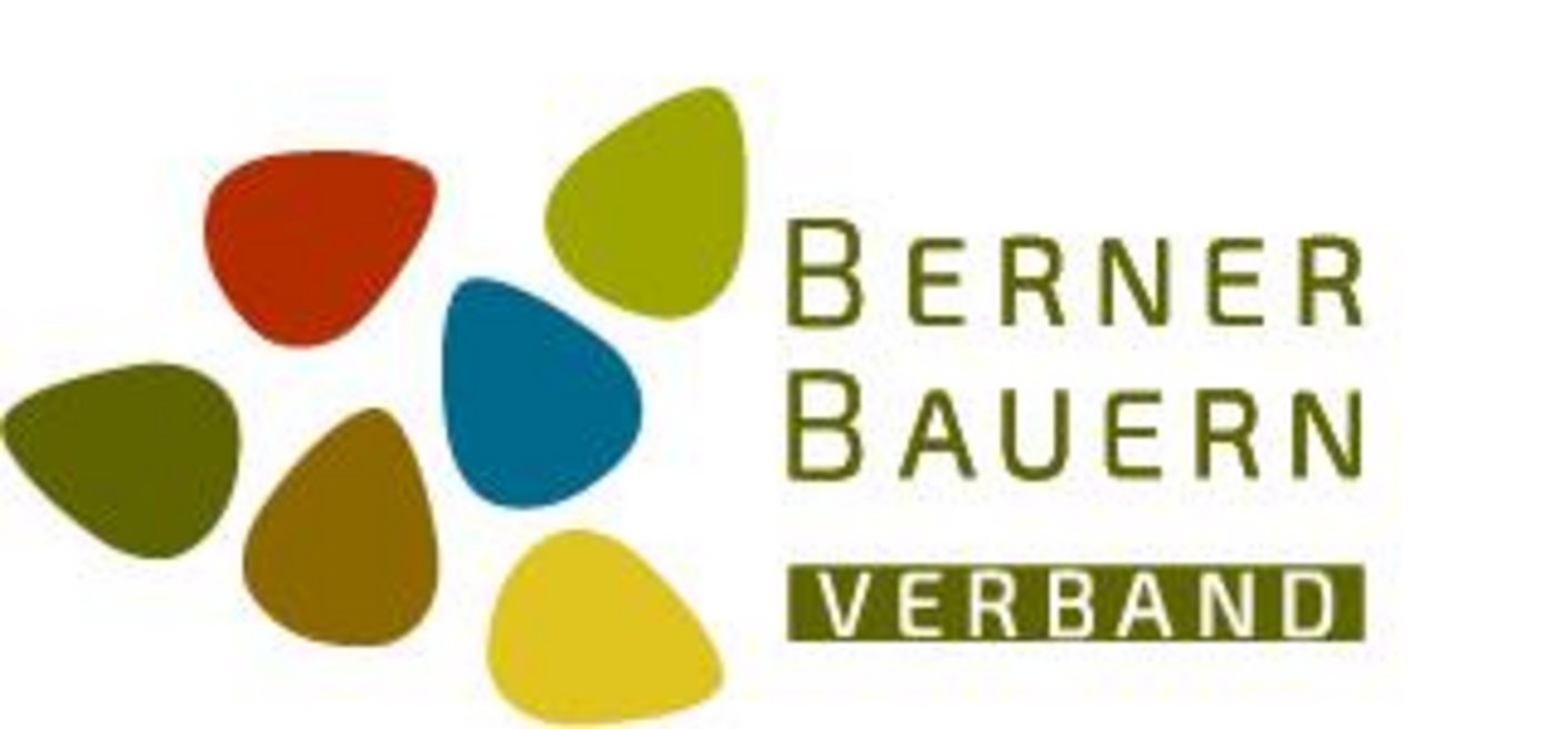 Das neue Logo. (Bild zVg)