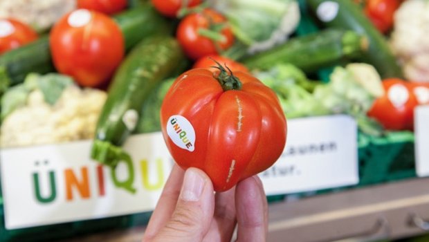 Schweizer Detailhändler haben unterschiedliche Strategien gegen Lebensmittelverschwendung: Coop etwa verkauft unter anderem unter dem Label "Ünique" verformte Tomaten, ... (Bilder Coop)