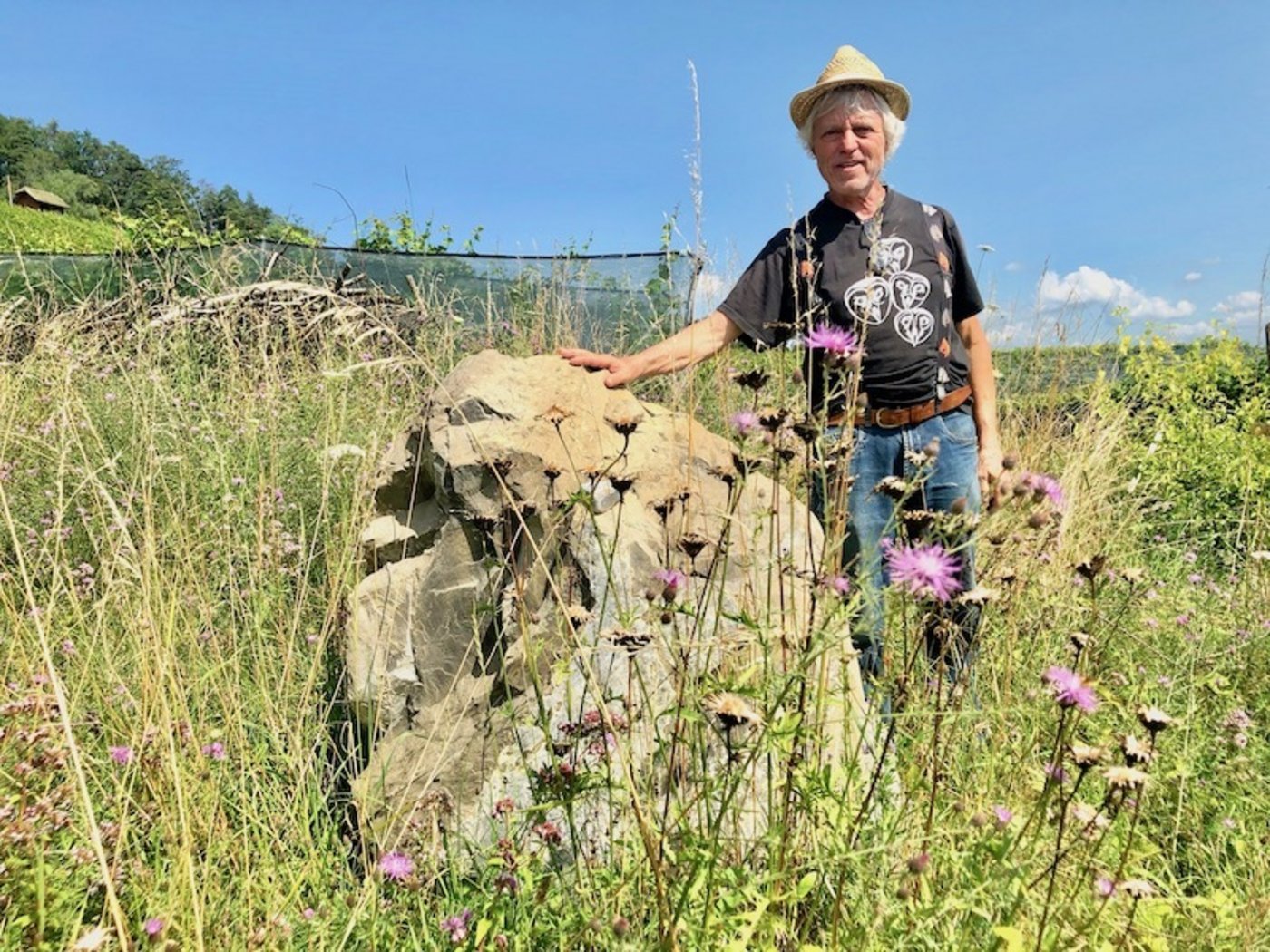 Biowinzer Fredi Strasser sagt von sich: ««Ich habe mir den Biolandbau zu meiner Lebensaufgabe gemacht.» (Bild Esther Thalmann)