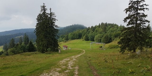 Der Schutz des Kulturlandes wird von der SAB begrüsst. (Bild lid)
