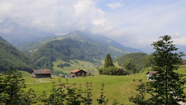 Das kantonale Landwirtschaftsgesetz in Nidwalden geht in Revision. (Bild: ji)