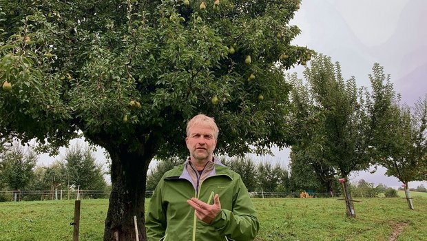 Urs Amrein hat 650 H Urs Amrein hat 650 Hochstammbäume mit 350 verschiedenen Sorten auf seinem Archehof in Hildisrieden.