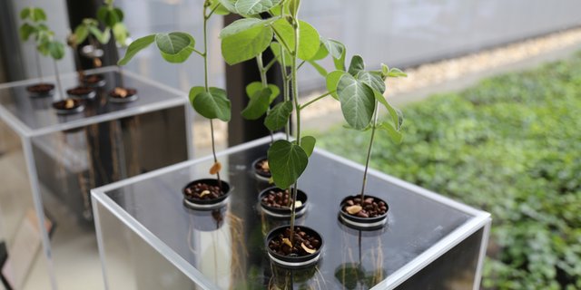 Die Teilnehmer diskutierten über die Agrarforschung. (Symbolbild lid)