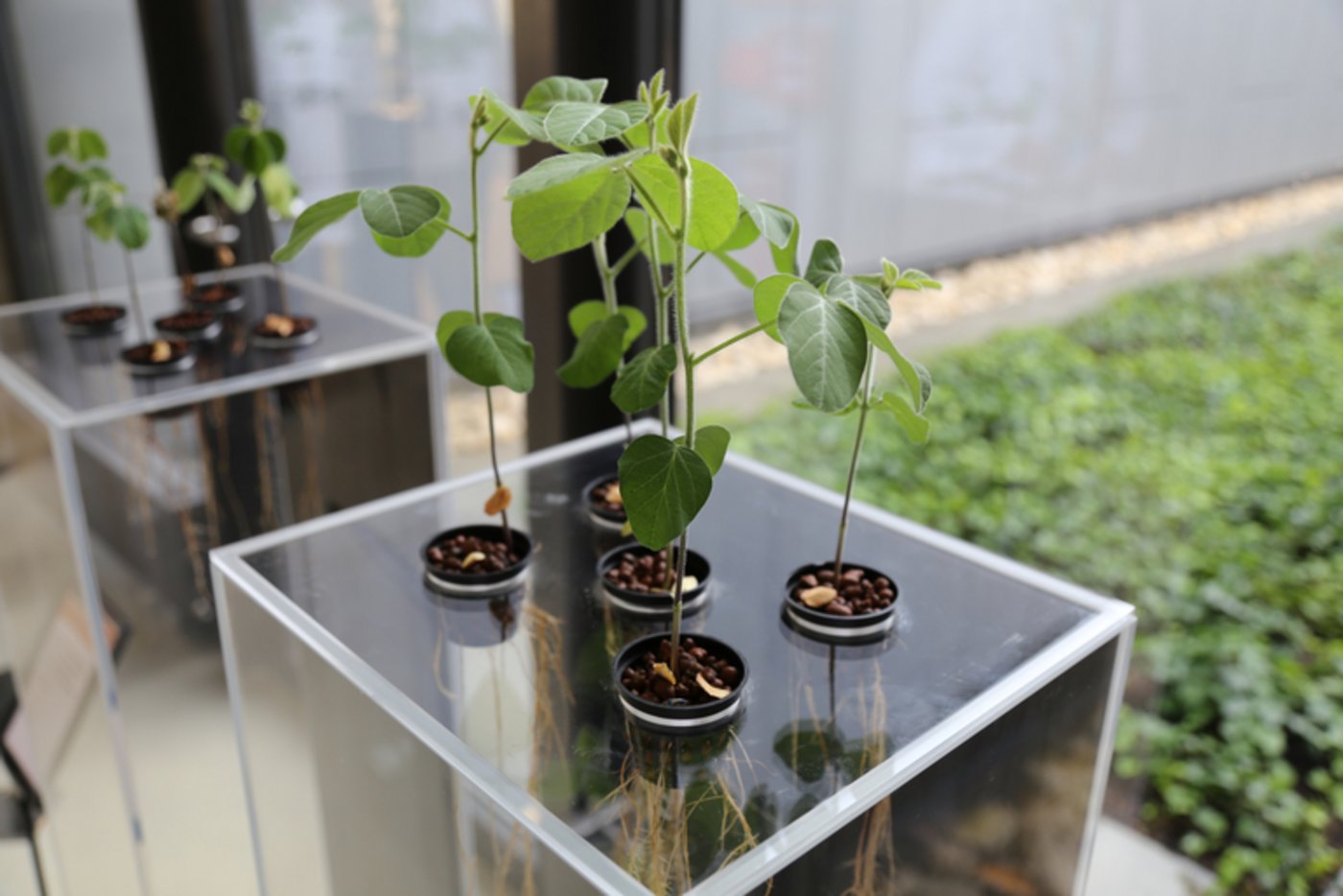 Die Teilnehmer diskutierten über die Agrarforschung. (Symbolbild lid)