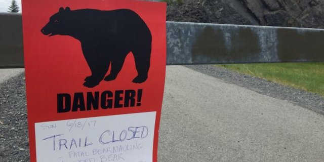 In Alaska wird mit Schildern vor Bären gewarnt. (Screenshot «Alaska Dispatch News»)