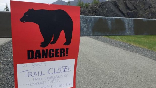 In Alaska wird mit Schildern vor Bären gewarnt. (Screenshot «Alaska Dispatch News»)