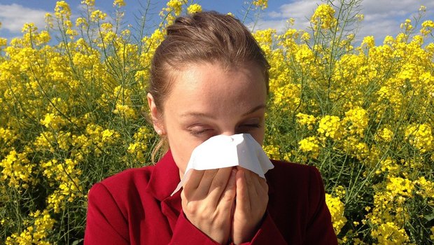Im Frühling leiden viele Pollenallergiegeplagte. (Bild Pixabay)