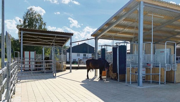 Was haben Sie gebaut Was haben Sie gebaut oder bauen lassen, damit das Pferdewohl in Ihrem Stall erheblich verbessert ist? Zeigen Sie es uns und melden Sie sich für die Aktion «Der Gute Stall» an.