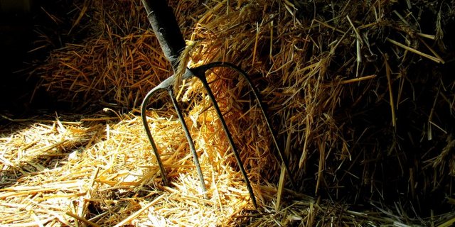 2017 wurden neun Betriebe im Kanton Solothurn unterstützt. (Bild Fotolia)