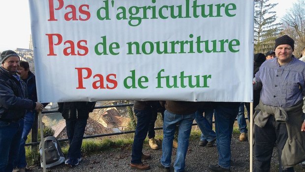 «Keine Landwirtschaft, keine Nahrung, keine Zukunft»: Kaum jemals seit der grossen Bauerndemo im Jahr 2015 in Bern (im Bild) war der Unmut der Bauern derart gross wie heute. 