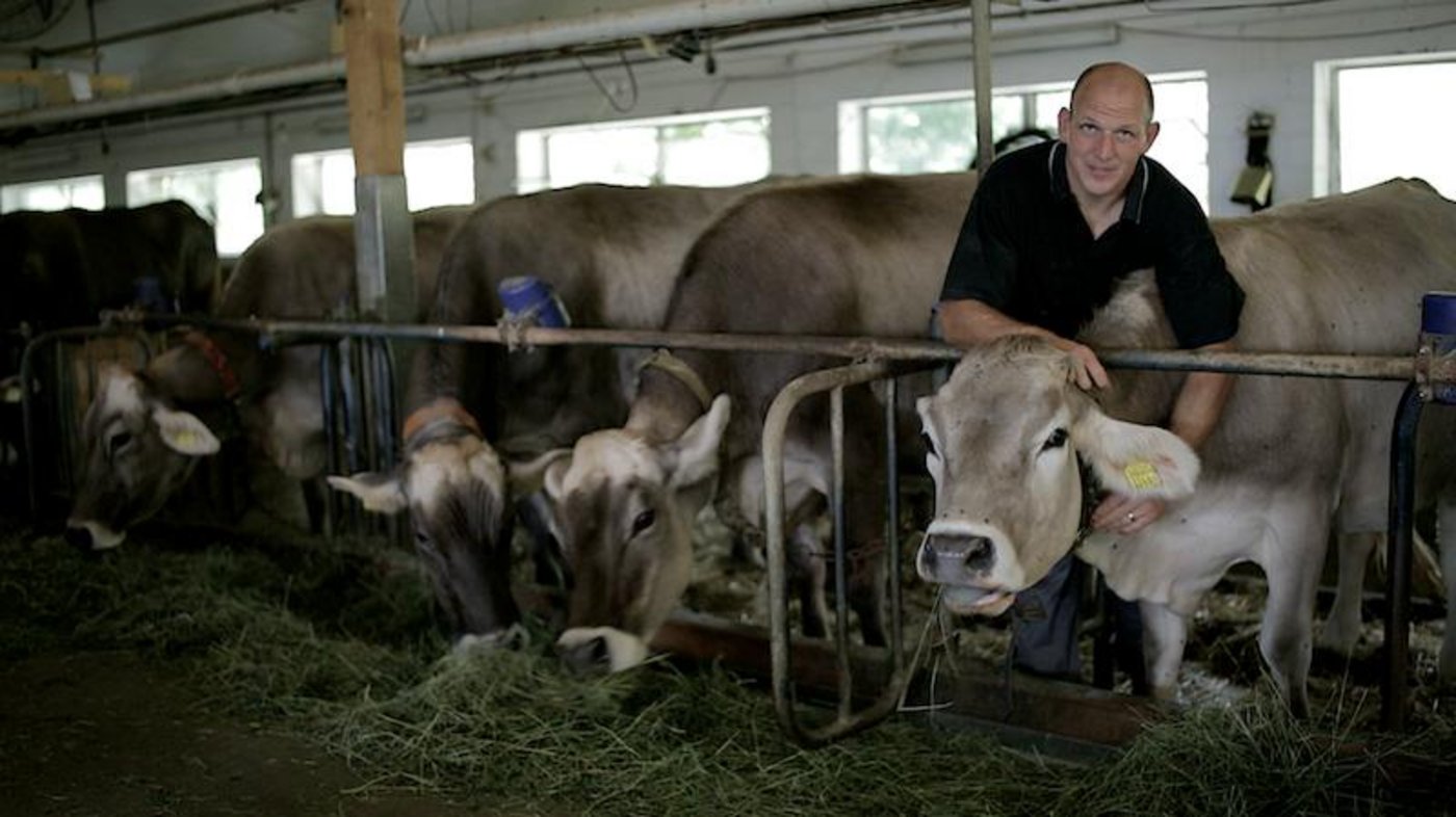 Während seiner ganzen Aktivzeit als Schwinger hat Bruno Gisler immer zu 100 Prozent als Bauer gearbeitet. Das gefällt ihm und dafür hat er als Ex-Schwinger wieder mehr Zeit.(Bilder Flavian Cajacob)
