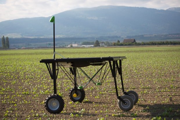 Der Feldroboter der Firma „Ecorobotix“ erkennt Unkräuter und bringt die Herbizide gezielt aus. So sind weniger Herbizide notwendig. (Bild Ecorobotix) 