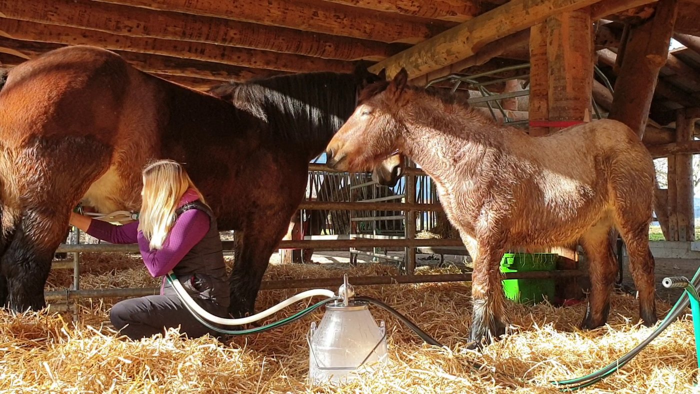 «Mich beeindruckt  die Ruhe der Kaltblüter,» sagt Tamara Wülser (Bild zVg)