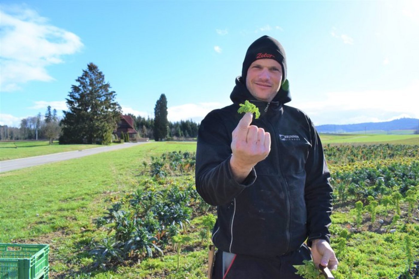 Stefan Brunner Spins Spinatwurzeln, Federkohltriebe und gestängelter Nüssler sind besonders gefragt. (Bild lid/ey) 
