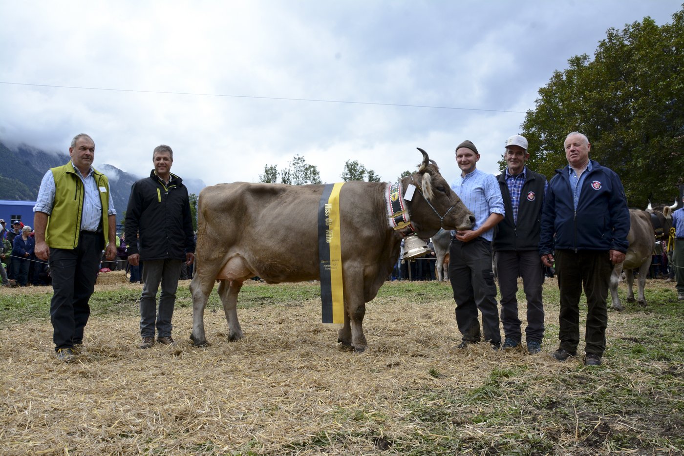 Miss Uri 2019 beim Original Braunvieh, General Belinda von Gusti Zurfluh, Isenthal.