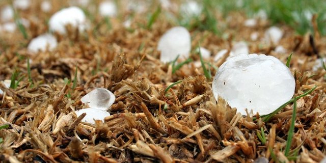 Hagel ist nur eines der Wetterphänomene, das in der Landwirtschaft Schaden anrichten. Zukünftigt könnte vor allem auch Trockenheit zur immer grösseren Herausforderung werden. (Bild Pixabay)