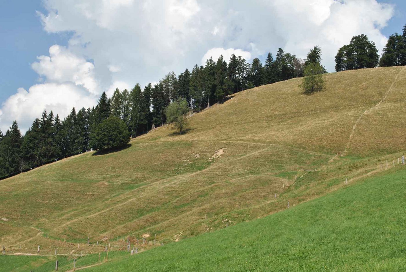 Wegen des ausbleibenden Regens bleiben Hänge braun und trocken. (Bild zVg)