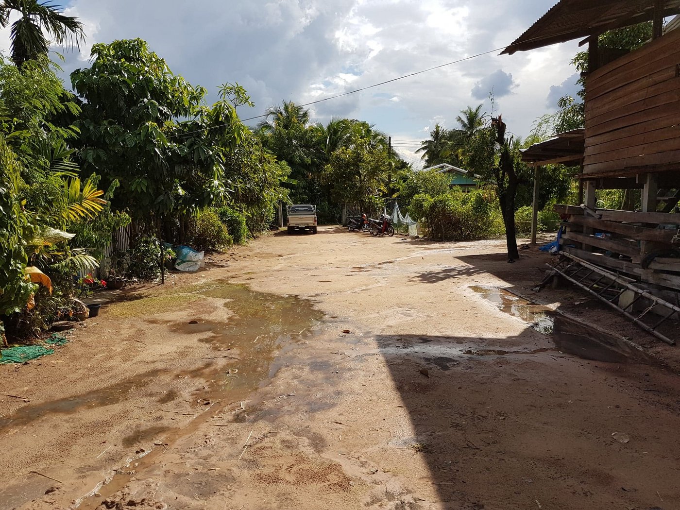 ...nach dem Regen. (Bild Urs Morf)