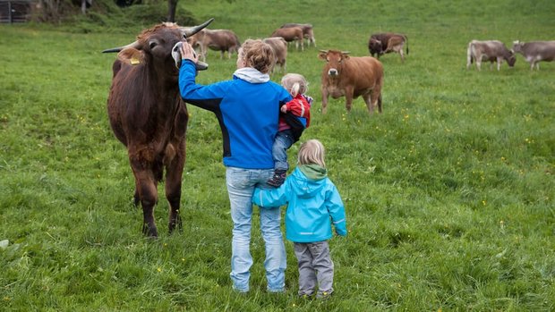 Die Familie Kathriner lebt heute auf einem Lebenshof. (Bild Miriam Künzli / SRF) 