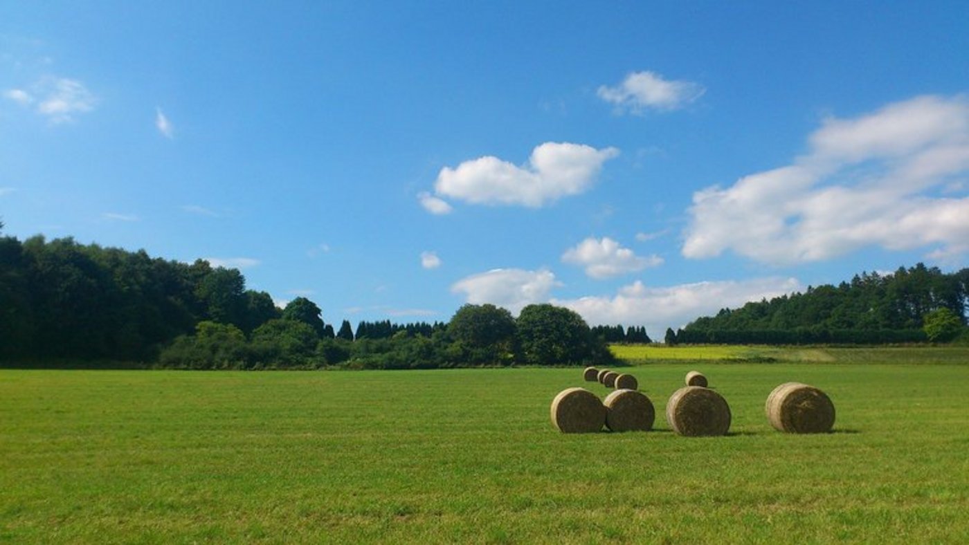 6,5 Prozent der landwirtschaftlichen Fläche werden in unserem Nachbarland biologisch bewirtschaftet. (Bild pd)