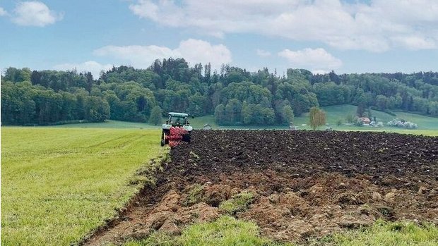 Was auf dem Feld und Was auf dem Feld und im Stall «passiert», wird derzeit wieder im Erhebungsfenster eingetragen. Die Beratung ist wichtiger denn je.