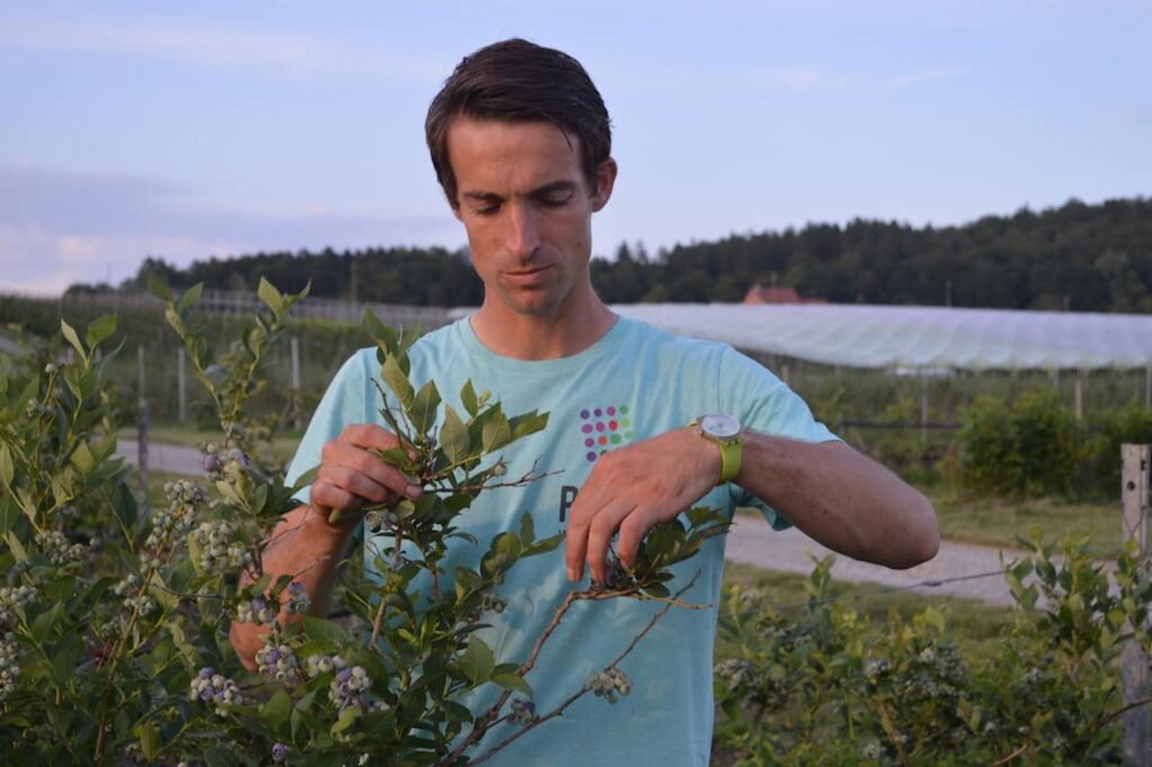 Simon Räss ist ein Tüftler wenn es um den Anbau von neuen Beeren geht. Die Herkömmlichen sind aber genau so wichtig, wie er sagt. (Bilder asa)