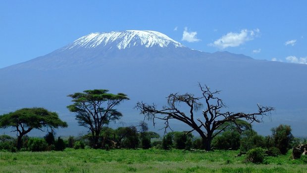 Vier Jahre lang wurde am Kilimandscharo für die Studie geforscht. (Bild Pixabay)