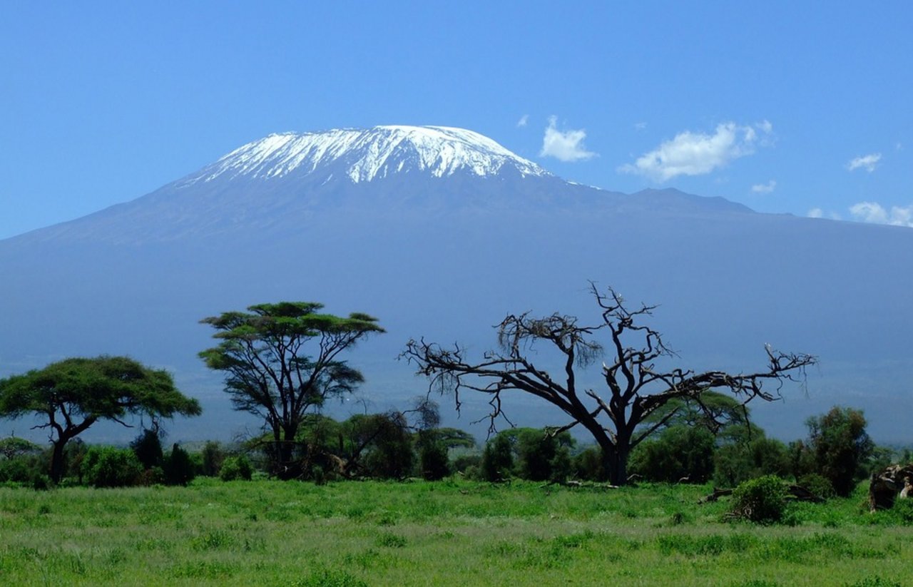 Vier Jahre lang wurde am Kilimandscharo für die Studie geforscht. (Bild Pixabay)