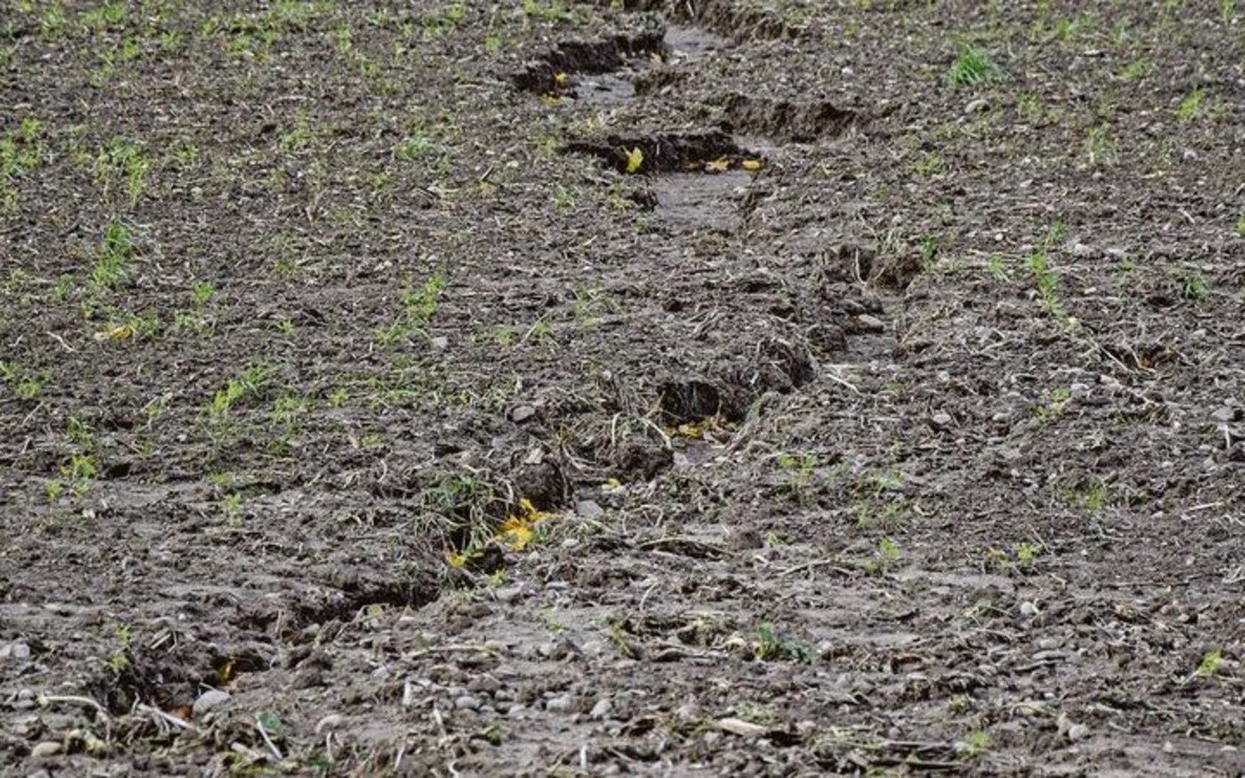 Die Konservierende Landwirtschaft soll den Boden ebenso vor Schäden durch zu viel Wasser (Erosion) wie vor Wassermangel schützen.