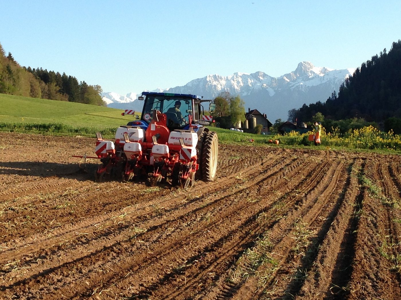 Bei der Maisaussaat sollte der Boden abgetrocknet und mindestens 8°C warm sein. Dies ist notwendig, damit die Keimung zügig erfolgt und der Keimling weniger lang Krankheiten und Schädlingen ausgesetzt ist. (Bild Mike Bauert)
