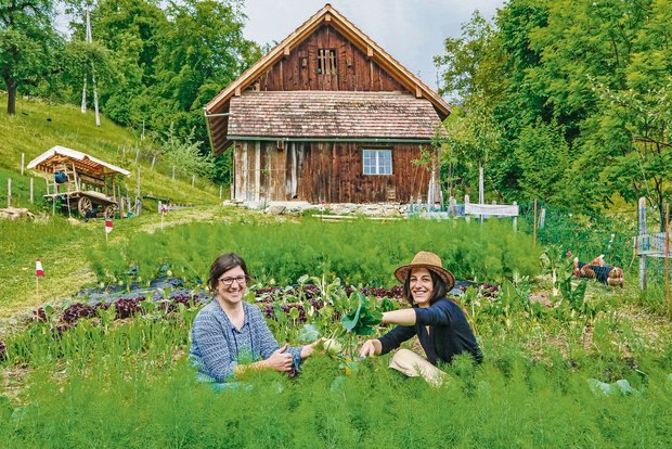 Auf der Summerweid ernten Konsumentinnen ihr Gemüse selber Madeleine Michel (links) und Olivia Stafflage: Auf der «Summerweid» arbeiten Produzentin und Konsument Hand in Hand. (Bild Erika Rebsamen)
