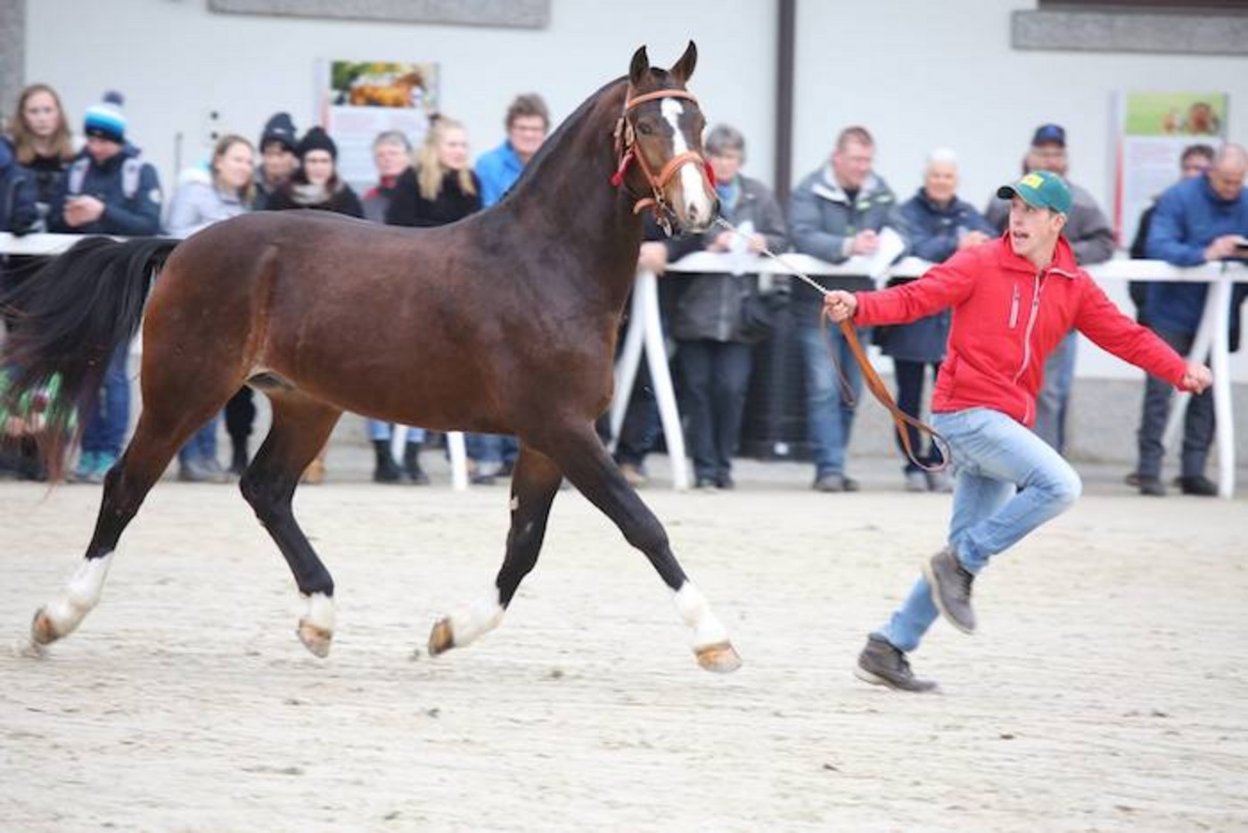 Auf dem 3. Rang ist Horizon des Oués (Halipot/Hermitage/Cadix) von M. Gandolfo und M. Meyer aus Cornol JU.