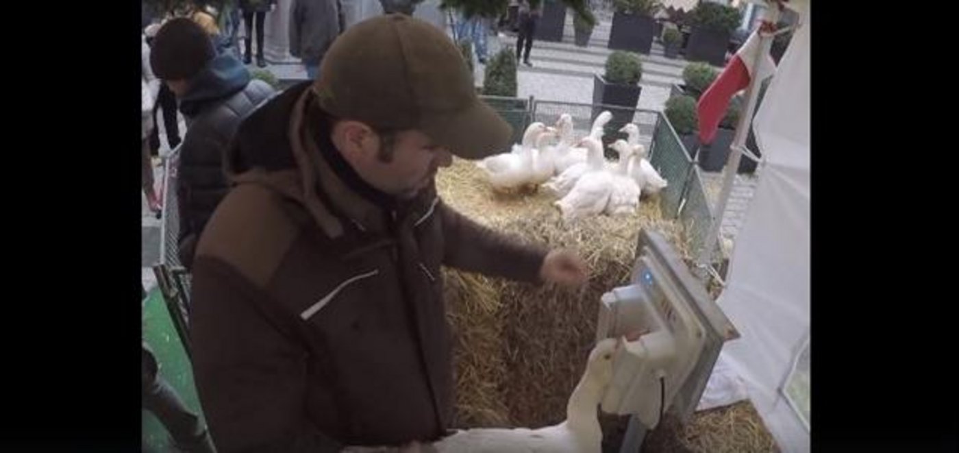 Passanten hatten die Aktion gefilmt und in den sozialen Medien verbreitet. (Bild Screenshot Quarks Facebook).