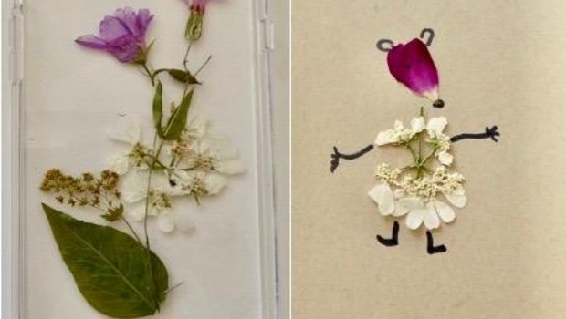 Getrocknete Blumen für eine hübsch verzierte Handyhülle (links) oder ein fröhliches Kärtchensujet. (Bilder Sigid Tinz)
