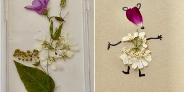 Getrocknete Blumen für eine hübsch verzierte Handyhülle (links) oder ein fröhliches Kärtchensujet. (Bilder Sigid Tinz)