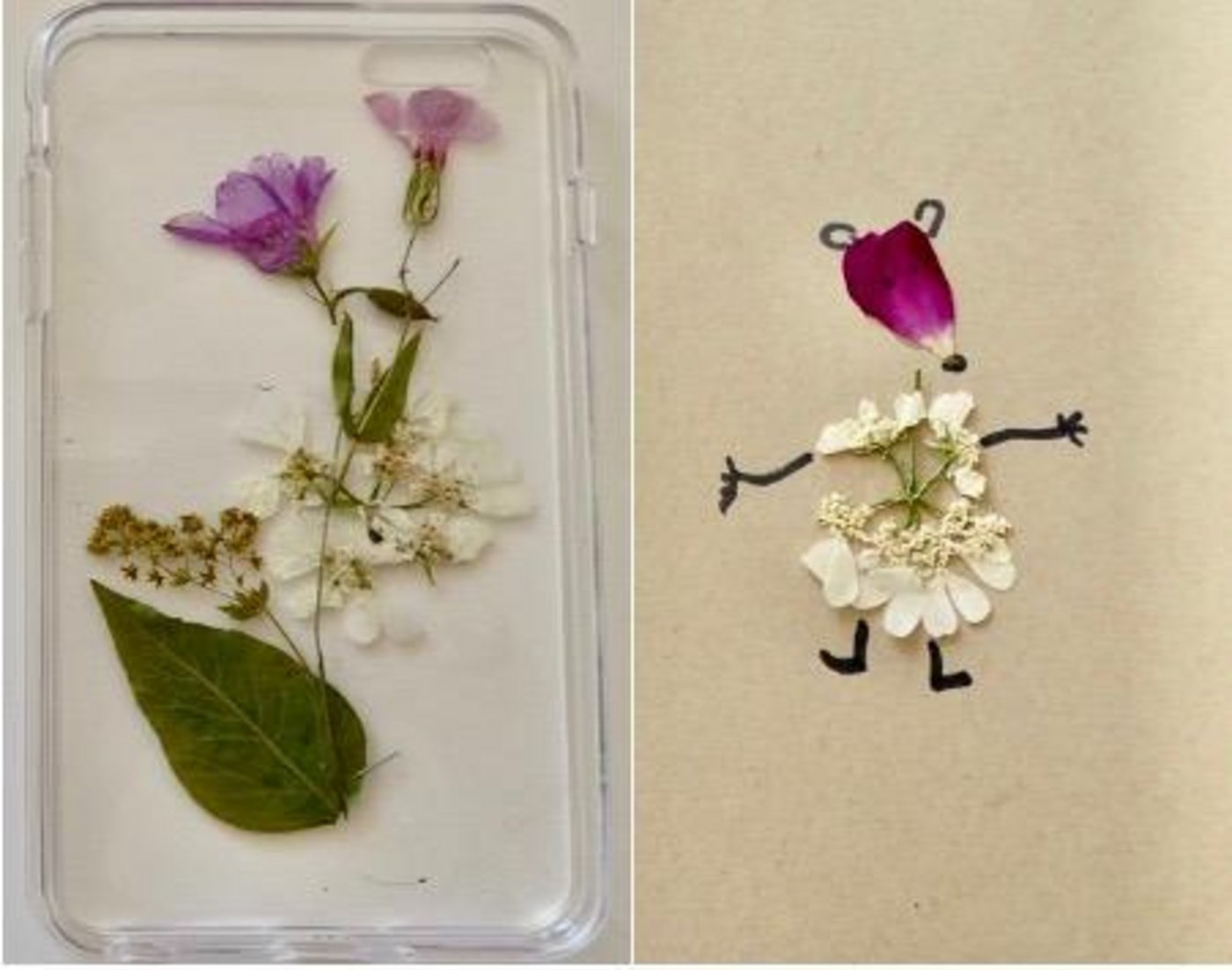 Getrocknete Blumen für eine hübsch verzierte Handyhülle (links) oder ein fröhliches Kärtchensujet. (Bilder Sigid Tinz)