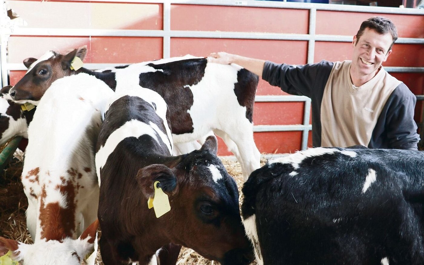 Wachsen da neue Stars heran? In die Betreuung seiner Kälber investiert Heinz Meier viel Zeit und Sorgfalt.