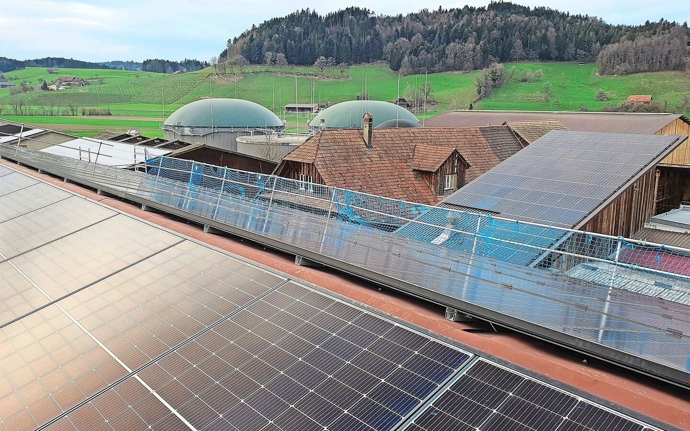 Viel Solarstrom produzieren die Module auf den Dächern des Wiggerhofs. Im Hintergrund die grosse Biogasanlage.  