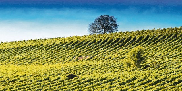 Abhängige Finanzierung: Damit der Bund den Regionalen Naturpark unterstützt, muss der Kantonsbeitrag abgesichert sein.(Bild zVg)