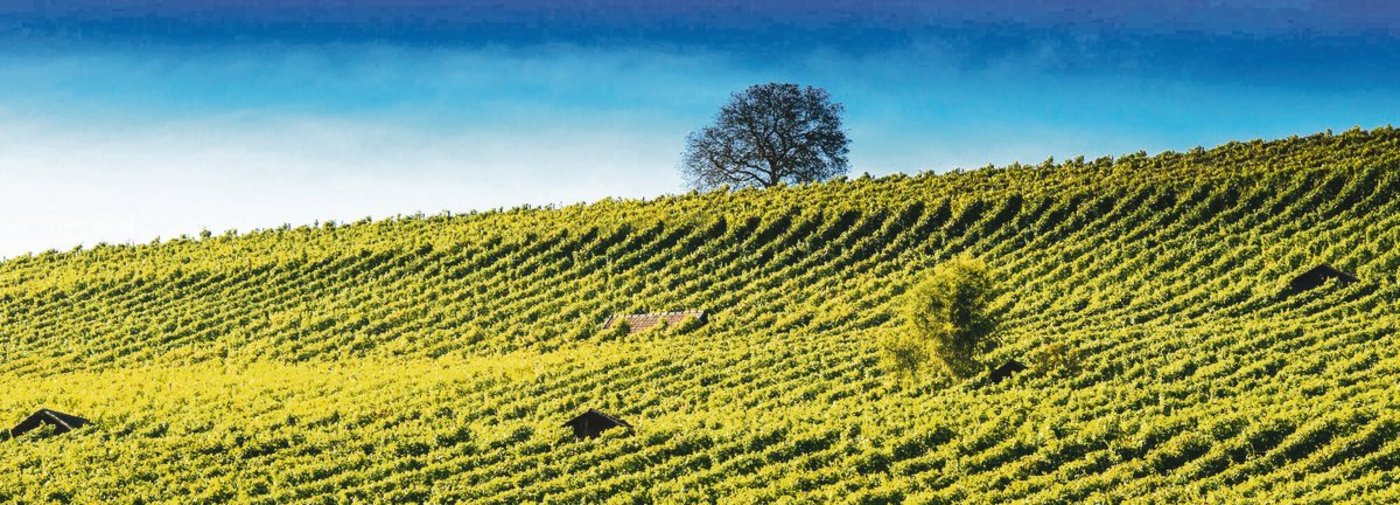 Abhängige Finanzierung: Damit der Bund den Regionalen Naturpark unterstützt, muss der Kantonsbeitrag abgesichert sein.(Bild zVg)