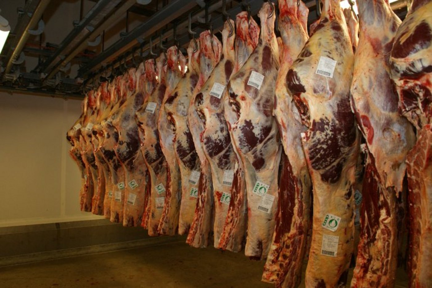 Rindfleisch legte deutlich zu. (Bild ji)