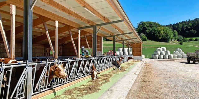 Bodenebene Futterachse als Risiko für Verunreinigung durch Hundekot.