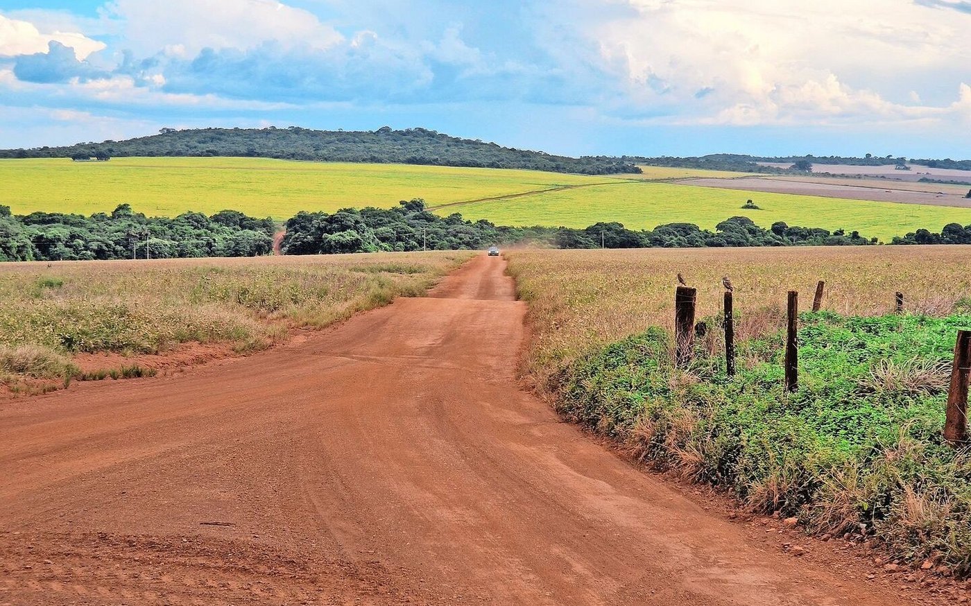 Die typische rote Erde Brasiliens ist nicht besonders fruchtbar und bei Regen schnell weggewaschen.
