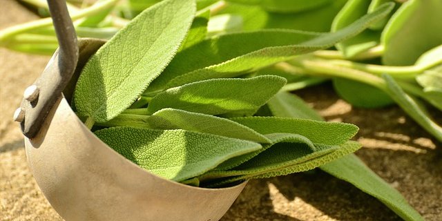 Die Pflanzen werden in der Schweiz direkt als Gewürz oder Heilmittel verkauft, oder aber als Tee, Bonbons oder Kosmetikprodukte. (Symbolbild Pixabay)