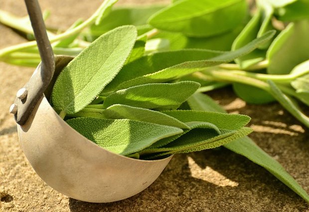 Die Pflanzen werden in der Schweiz direkt als Gewürz oder Heilmittel verkauft, oder aber als Tee, Bonbons oder Kosmetikprodukte. (Symbolbild Pixabay)