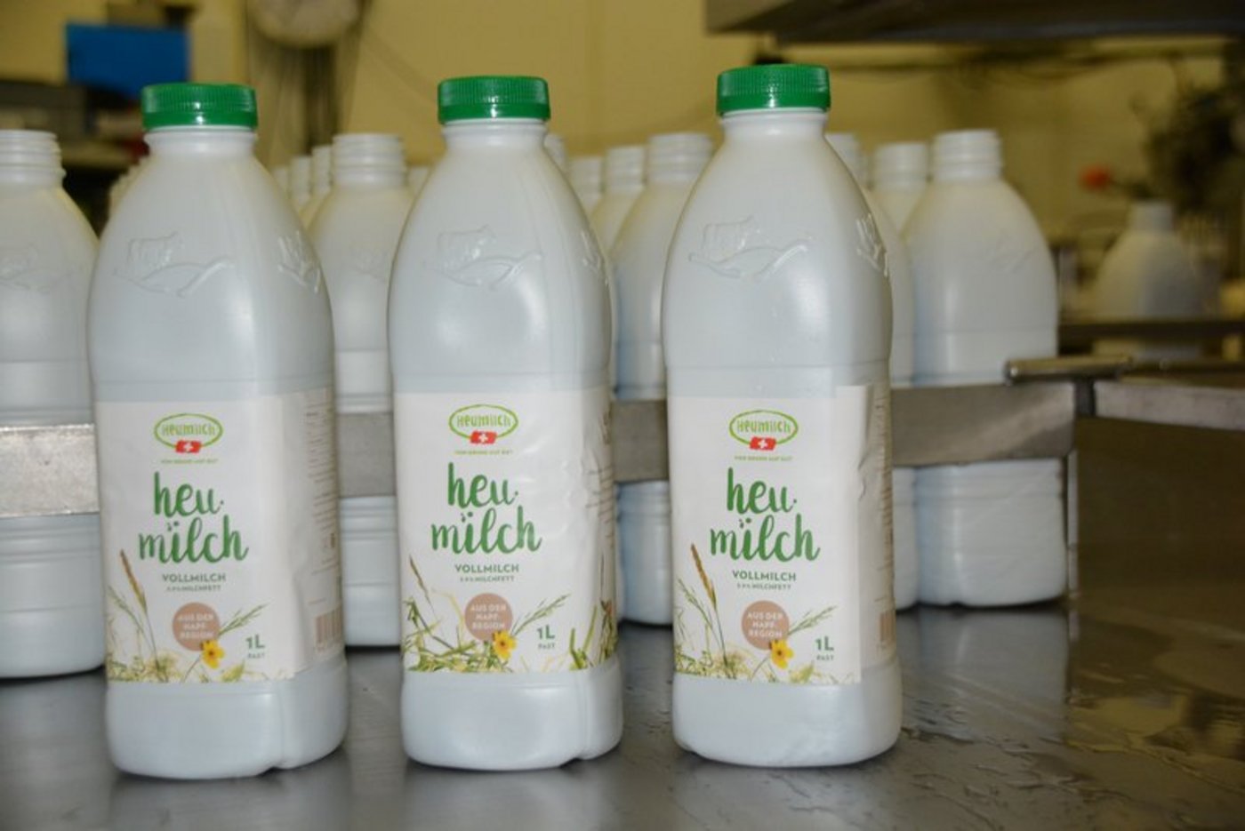 Heumilchproduzenten müssen verschiedene Kriterien beachten und erhalten dafür einen höheren Milchpreis. (Bild BauZ)