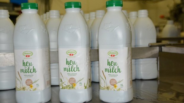 Heumilchproduzenten müssen verschiedene Kriterien beachten und erhalten dafür einen höheren Milchpreis. (Bild BauZ)