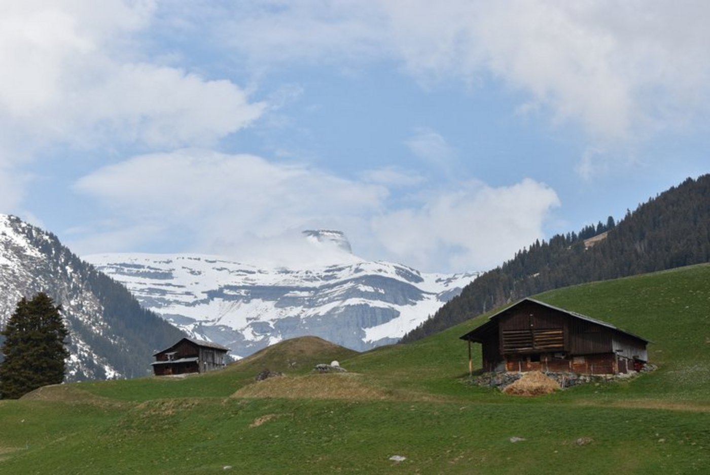 (Bild Erna Cathomas/landwirtschaft.ch)