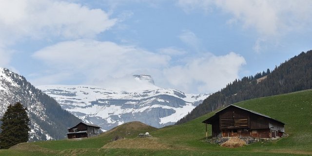 (Bild Erna Cathomas/landwirtschaft.ch)