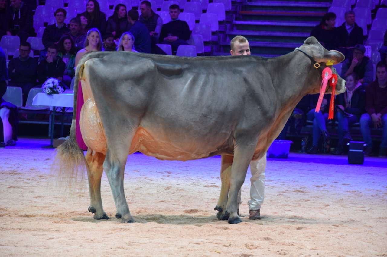 Siegerin Kat. 8: Plattenbach BS Glenny Gina von Peter und Fabian Betschart sowie Plattenbachs Cows aus Muotathal SZ.